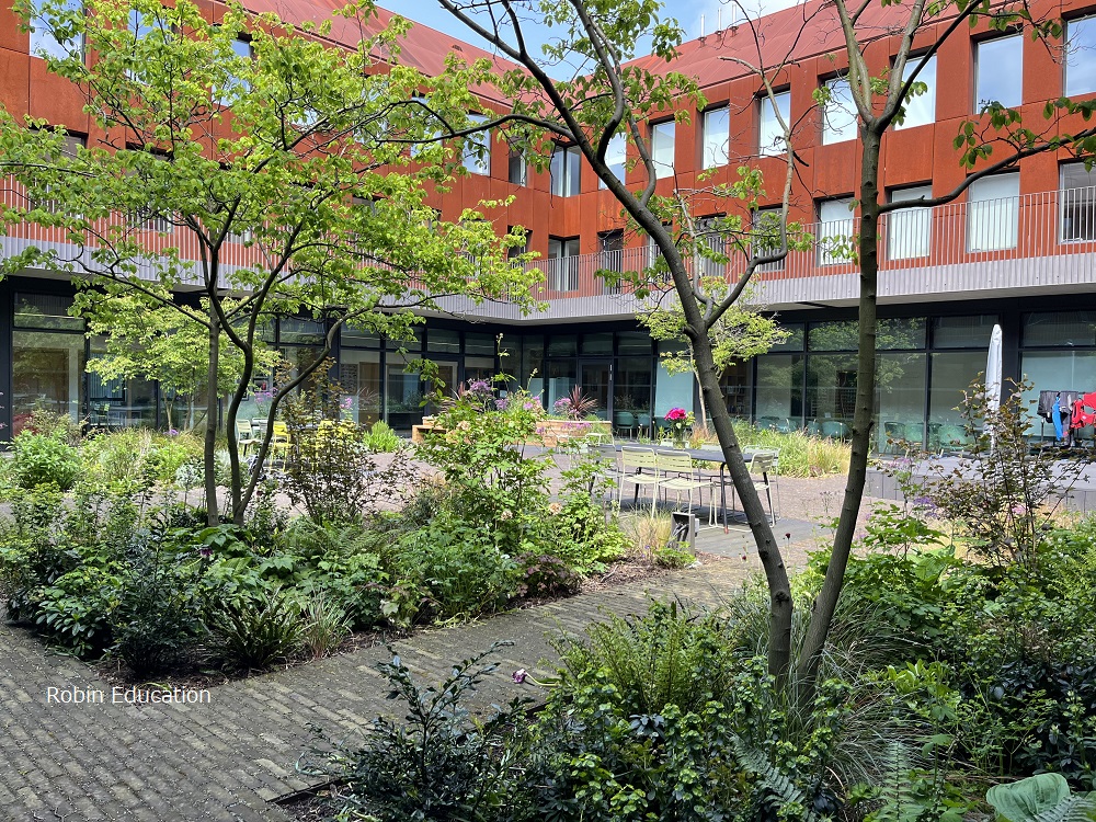 King's School International